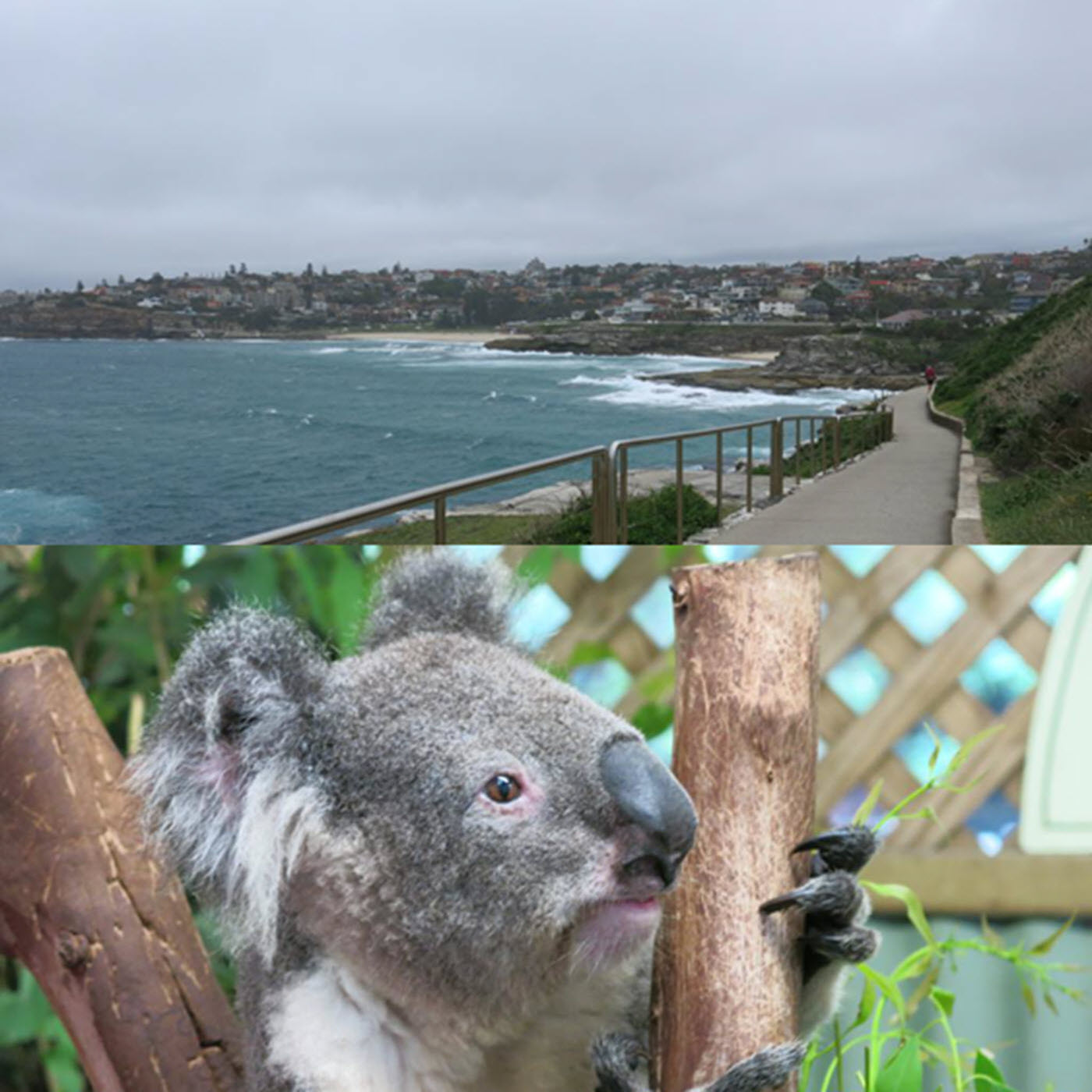 Avsnitt 7: Sydney